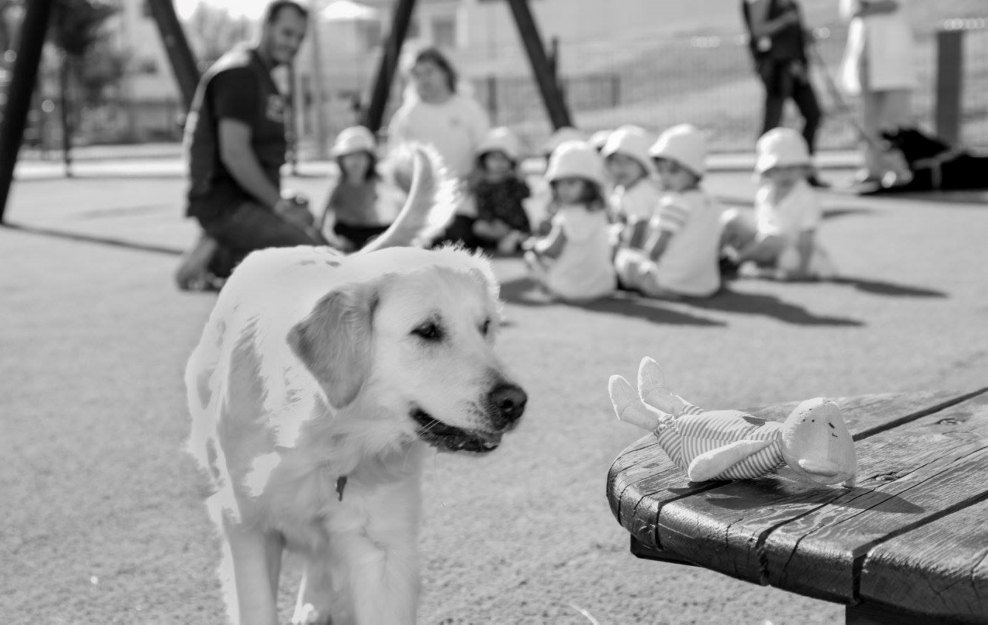 Dia do Animal com as crianças do colégio da Quinta da Parreirinha, Outubro de 2016, Bobadela